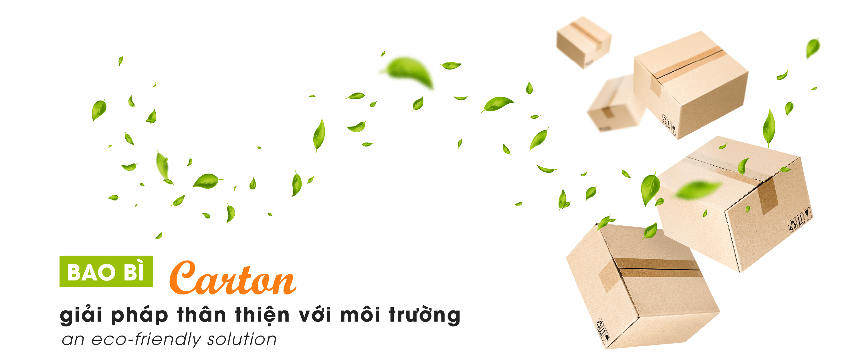 Các dạng thùng phổ biến